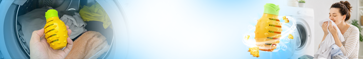 banner top